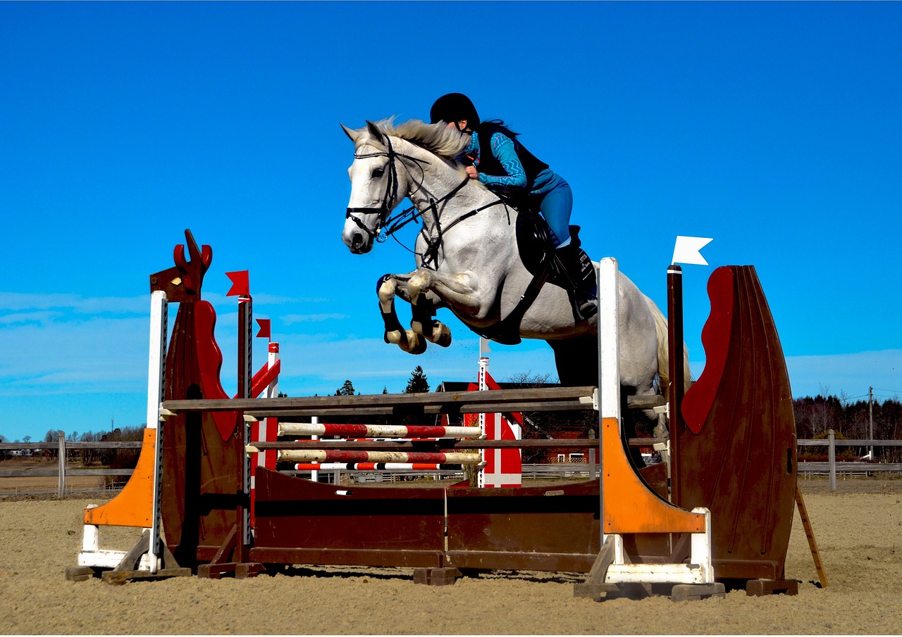 Forhindringer Ridebanespringning
